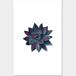 Colorful Succulent - Magenta and Gray Blue Posters and Art